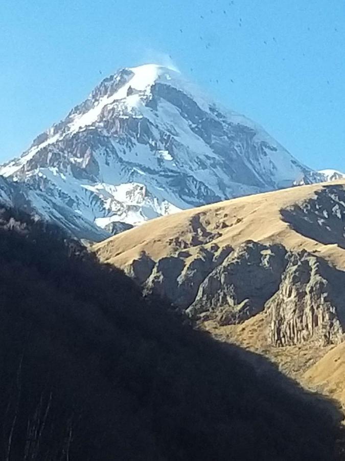 Emotion Kazbegi Lägenhet Exteriör bild