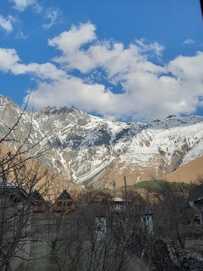 Emotion Kazbegi Lägenhet Exteriör bild