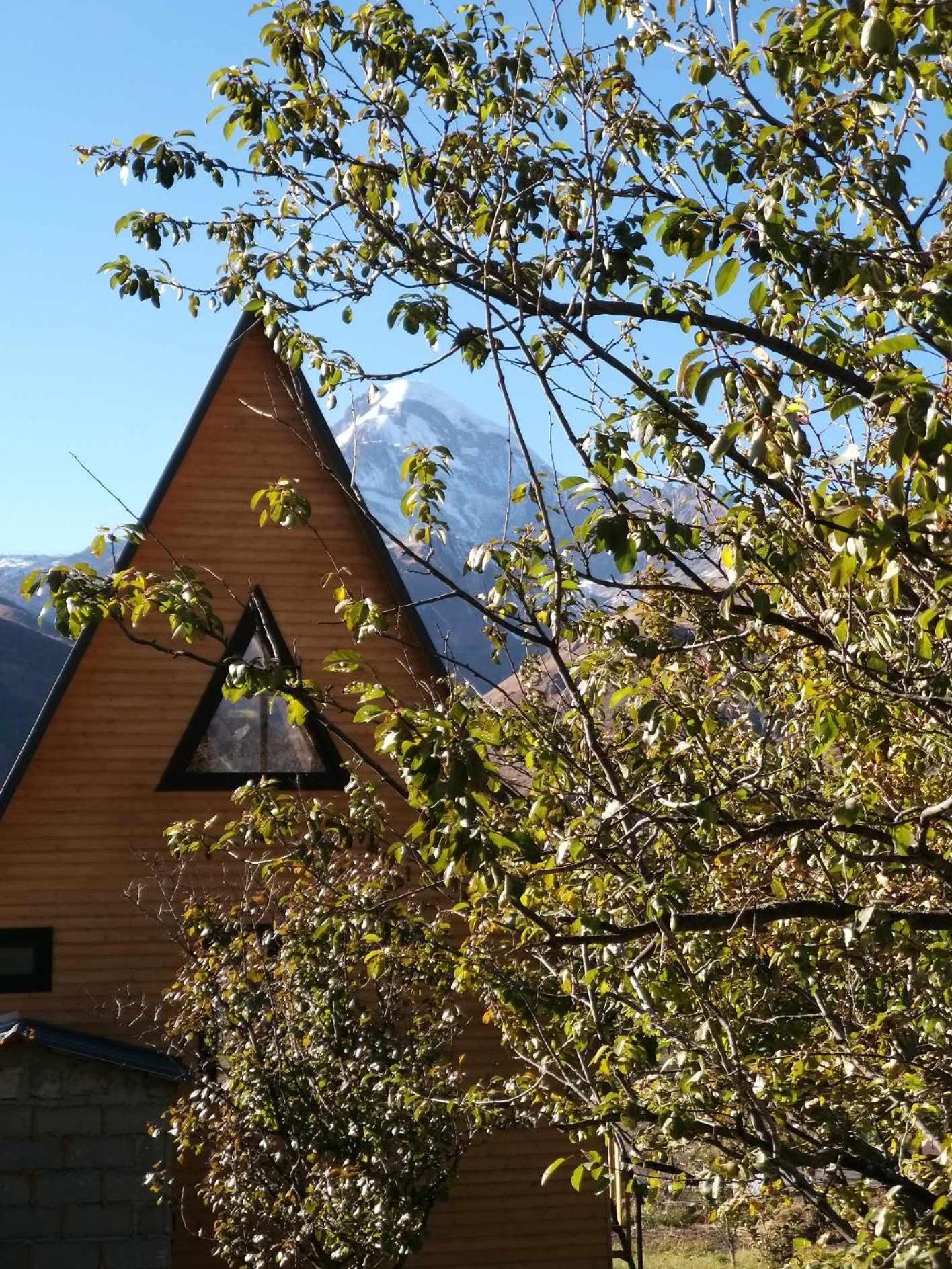 Emotion Kazbegi Lägenhet Exteriör bild
