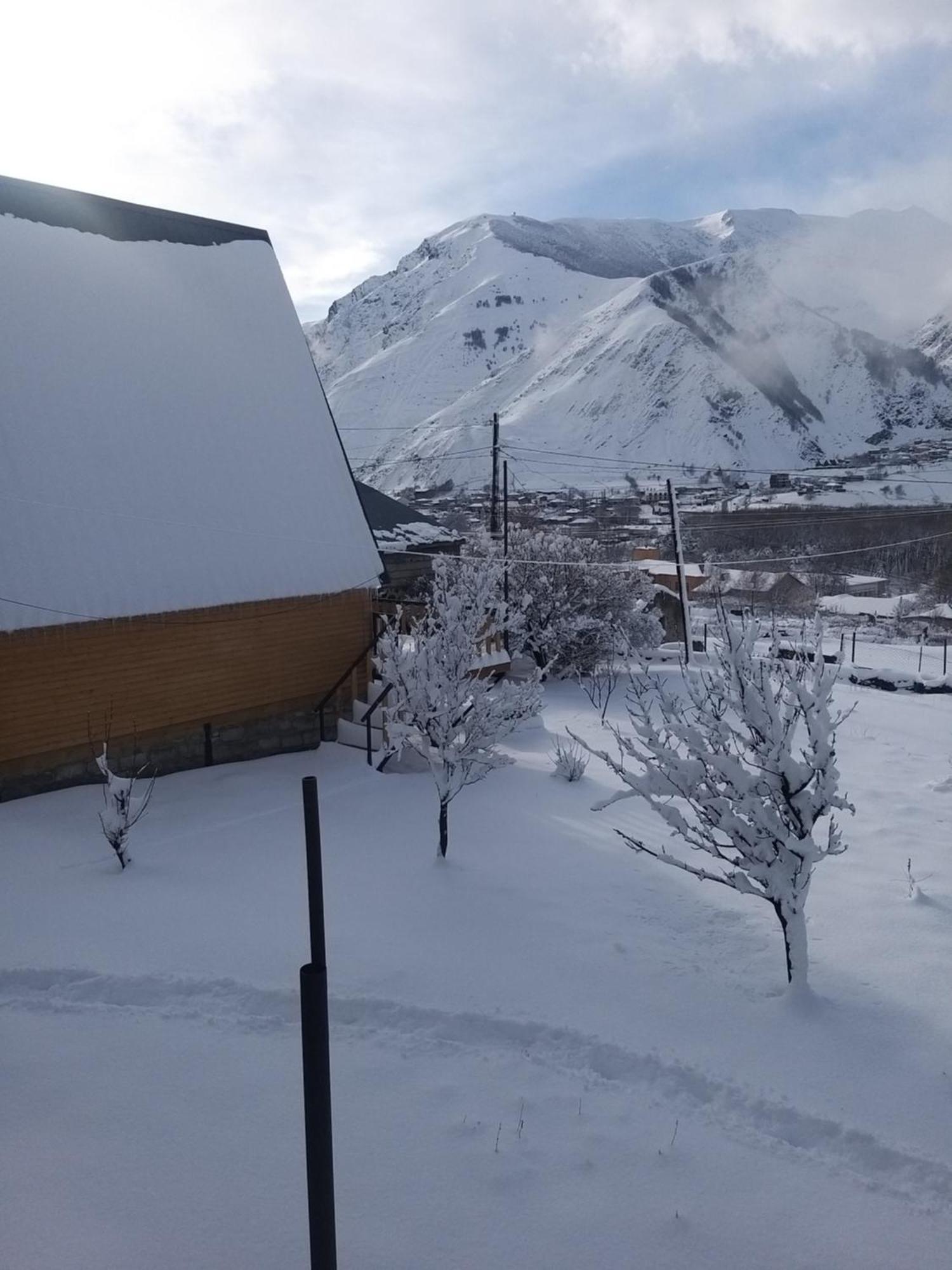 Emotion Kazbegi Lägenhet Rum bild