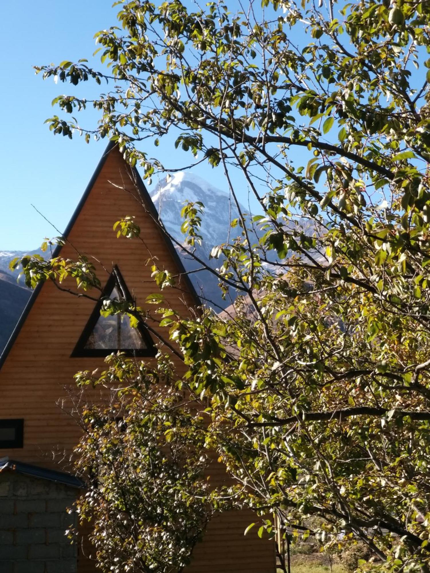Emotion Kazbegi Lägenhet Rum bild