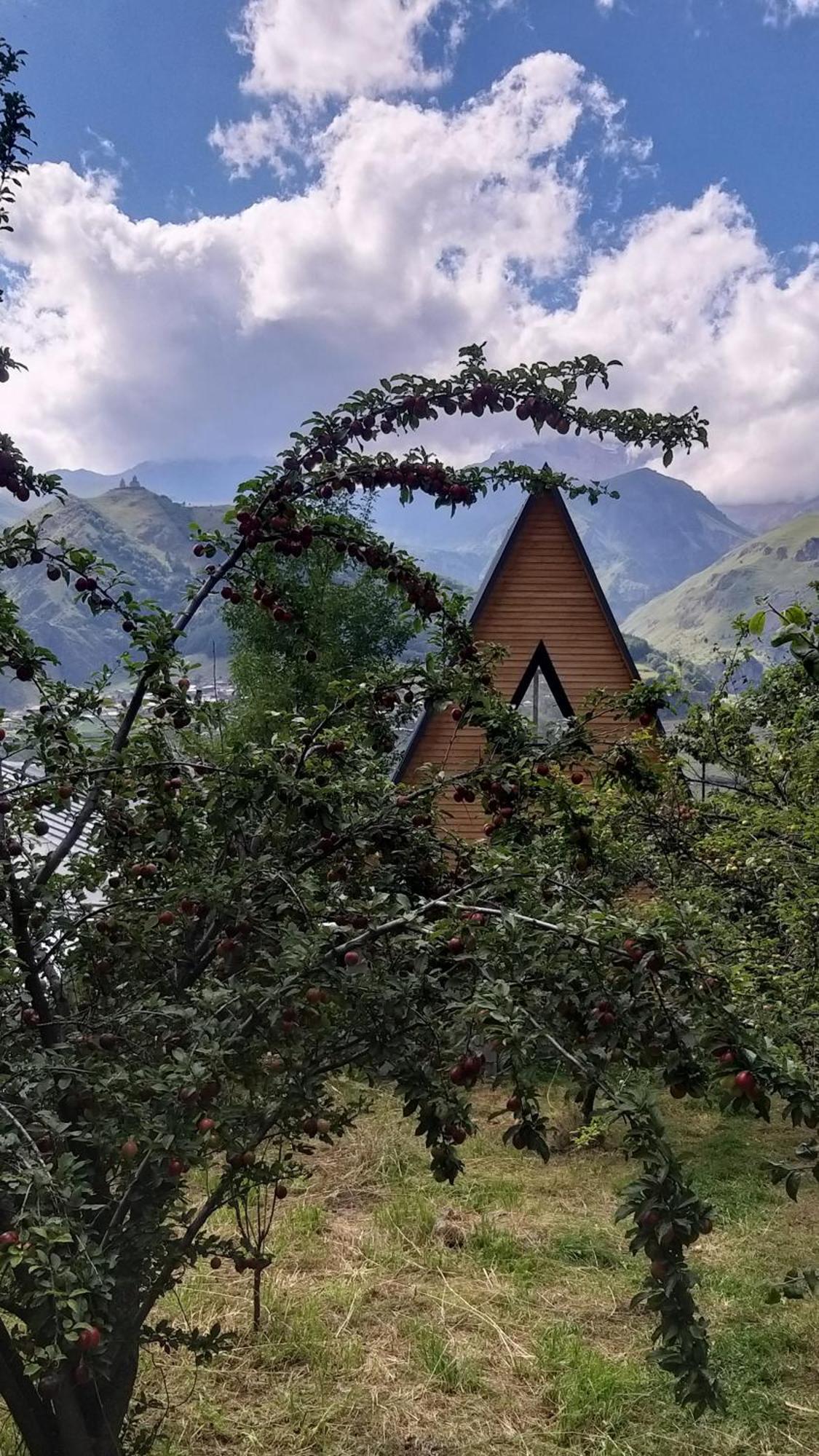 Emotion Kazbegi Lägenhet Exteriör bild